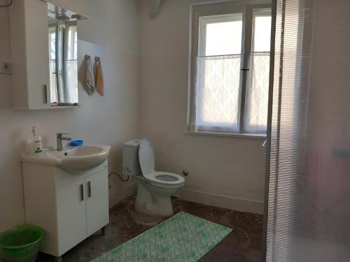 een badkamer met een toilet, een wastafel en een raam bij Apartment Šula in Pljevlja