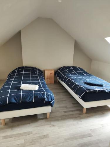 Duas camas num quarto com um sótão em Jaures F3 duplex 2 chambres wifi em Elbeuf