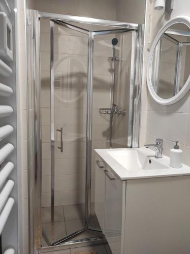 y baño con ducha y lavamanos. en Apartment Stipčić-Mrežnički Brig en Duga Resa