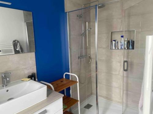 La salle de bains est pourvue d'une douche en verre et d'un lavabo. dans l'établissement Maison au calme, à Tiercé