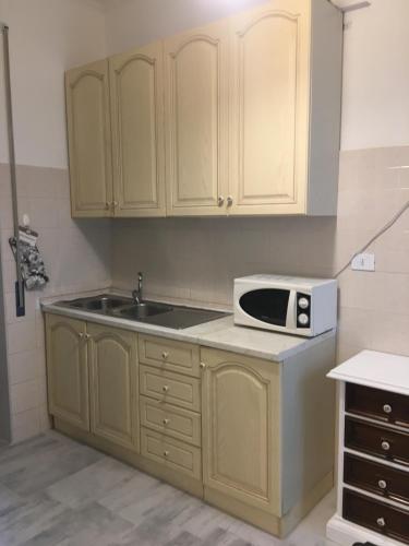 una cucina con un lavandino e un microonde su un bancone di Vacanze al Mare Ostia Roma a Lido di Ostia