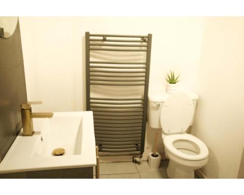 La salle de bains est pourvue de toilettes et d'un lavabo. dans l'établissement Ormeau Road Apartment, à Belfast