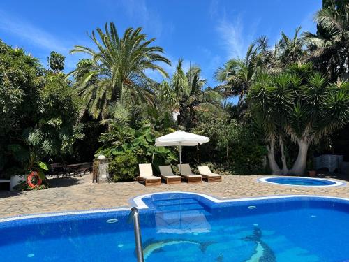 uma piscina com cadeiras e um guarda-sol e palmeiras em El Time em Tijarafe