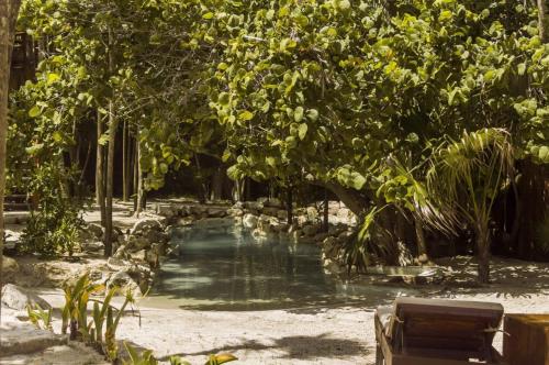 a pool of water in a park with trees at Niken Beachfront Tulum Hotel in Tulum