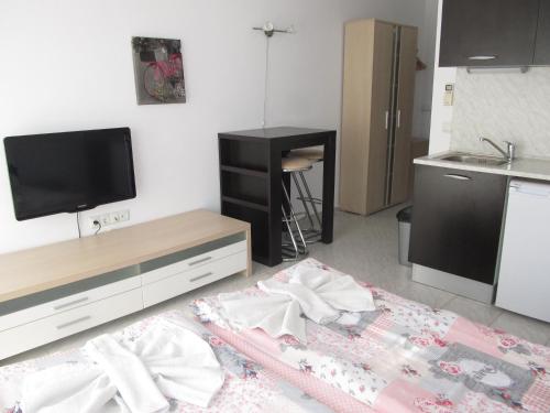 Кухня или мини-кухня в Apartments and studios in Cote d’Azure
