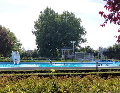 Bazén v ubytování Voormalig strandhuisje in boomgaard in Hengstdijk nebo v jeho okolí