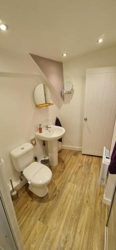 a bathroom with a sink and a toilet and a sink at The Wendy house in Parkend