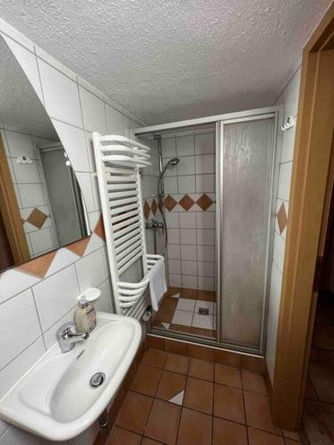 a bathroom with a sink and a shower at Gemütliche 1-Zimmer-Wohnung in Pegnitz