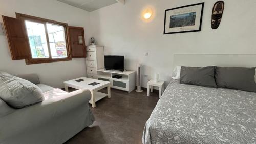 een woonkamer met een bed en een televisie bij Cosy Country Studio near Maspalomas and Fataga in Artedara