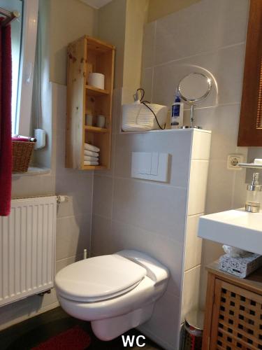 a bathroom with a white toilet and a sink at Alte Schule Mankmuß in Karstädt