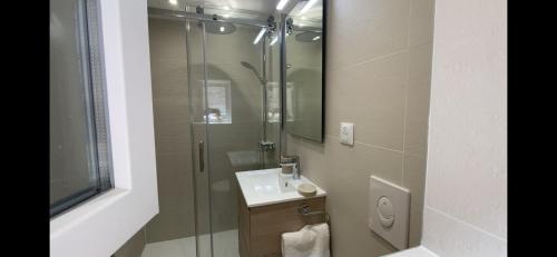 ein Bad mit einer Dusche, einem Waschbecken und einem Spiegel in der Unterkunft L'ATELIER in Bernardswiller