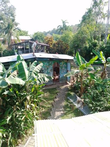 Blue Butterfly House – Photos 2