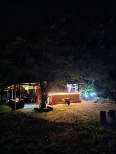 a tree in front of a building at night at Farmhouse with Pool - Kalavady Farmstay in Baindūru