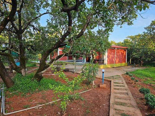 a garden with a tree and a building at Farmhouse with Pool - Kalavady Farmstay in Baindūru