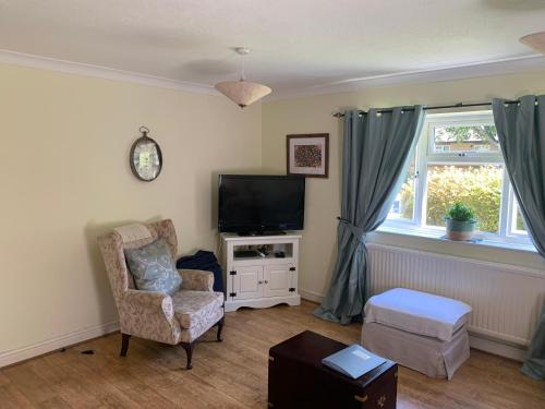 a living room with a chair and a television at 1 Bedroom Apartment Central Basingstoke in Basingstoke