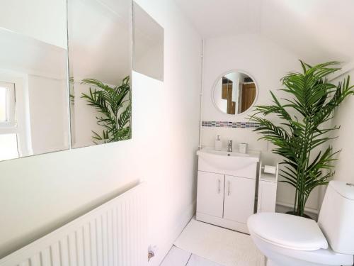 bagno con servizi igienici bianchi e specchio di Lane Cottage a Cardigan