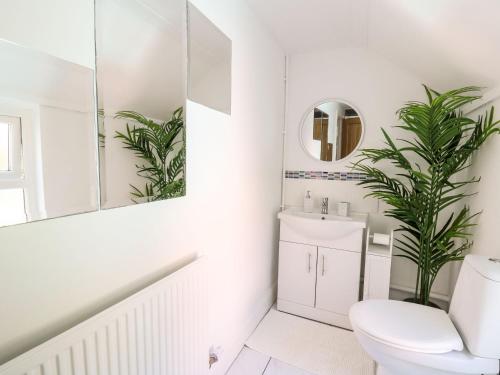 a bathroom with a white toilet and a mirror at Lane Cottage in Cardigan