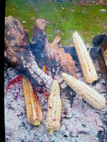 a group of carrots and corn on a grill at The Moon Light Home stay in Bhīm Tāl