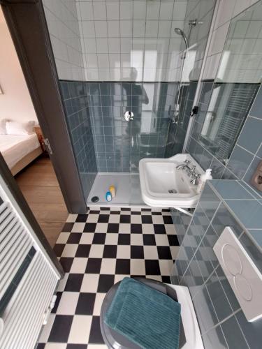 a bathroom with a toilet and a sink at B&B Pickery in Bruges