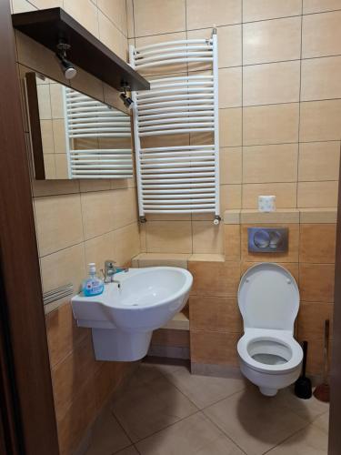 ein Bad mit einem WC und einem Waschbecken in der Unterkunft Ogrodowe Noclegi 2 