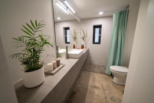 ein Badezimmer mit einem Waschbecken, einem WC und einem Spiegel in der Unterkunft Loft Studios in Artemida