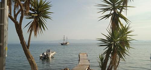 una barca è ormeggiata nell'acqua con palme di Sailors Luxury Cottage ad Agia Pelagia Chlomou