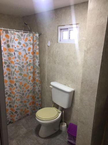 a bathroom with a toilet and a shower curtain at Eluney in Malargüe