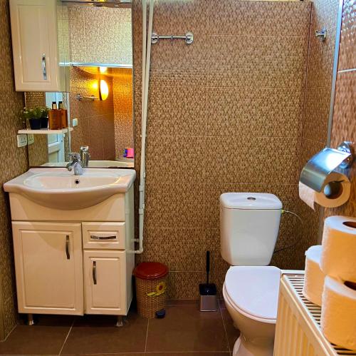 Ванна кімната в Old Ubani Apartment