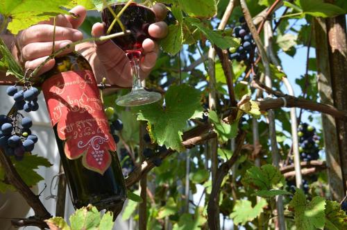 a person holding a bottle of wine in a tree at Terrace Center in Kutaisi