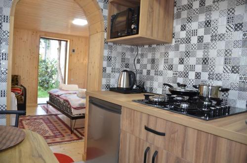 uma cozinha com um fogão e um micro-ondas em Terrace Center em Kutaisi