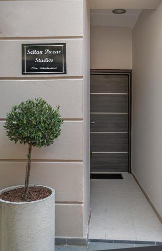 a plant in a pot next to a building at SEITAN PAZAR (Olive/Akrokeramos) in Preveza