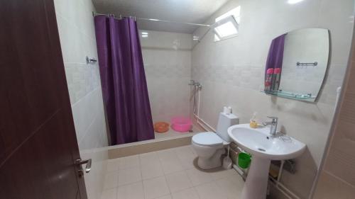 uma casa de banho com um lavatório, um WC e um chuveiro em Sionis Idilia em Sioni