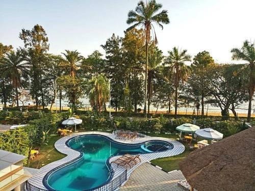 - une piscine dans un complexe avec des palmiers dans l'établissement Hill View Hotel Lake Kivu, à Rubavu