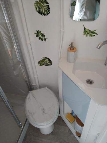 łazienka z toaletą i umywalką w obiekcie hauts des 2 lions -studio w mieście Joué-lés-Tours