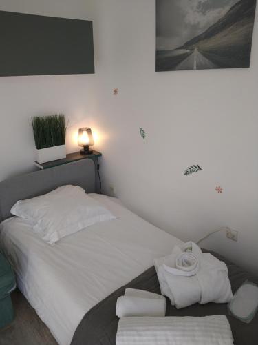 sypialnia z łóżkiem i ręcznikami w obiekcie hauts des 2 lions -studio w mieście Joué-lés-Tours
