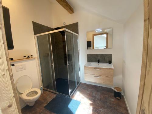 ein Badezimmer mit Dusche, Toilette und Waschbecken in der Unterkunft Duplex le Corten, Terrasse et jardin in Gérardmer
