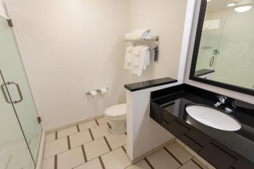 a bathroom with a sink and a toilet at Fairfield Inn & Suites by Marriott Athens I-65 in Athens