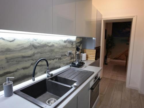 蘇恰瓦的住宿－ASE Premium House，厨房配有水槽和台面