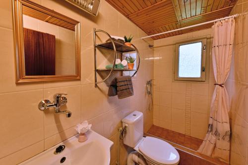 uma casa de banho com um WC e um lavatório em Apartmány Orlík 2 em Klučenice