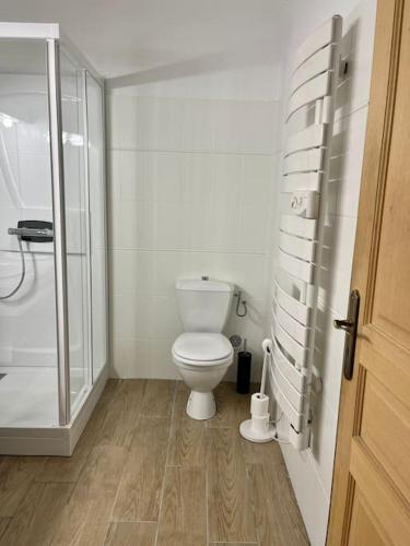 a bathroom with a toilet and a glass shower at Charmant Appartement centre-ville in Ajaccio