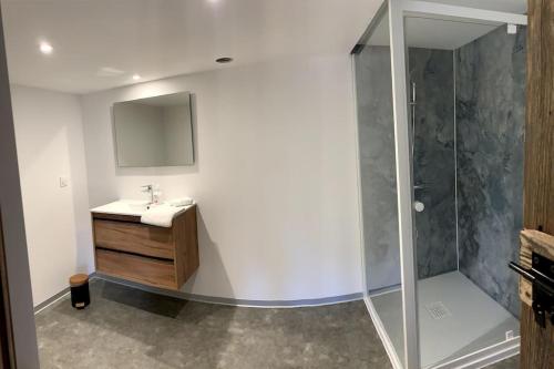 a bathroom with a sink and a shower at Le Perchoir - Gîte 7 personnes / pleine nature / Altitude : 830 m in Ban-sur-Meurthe-Clefcy