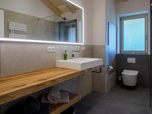 ein Badezimmer mit einem weißen Waschbecken und einem Spiegel in der Unterkunft samerbergzeit in Samerberg