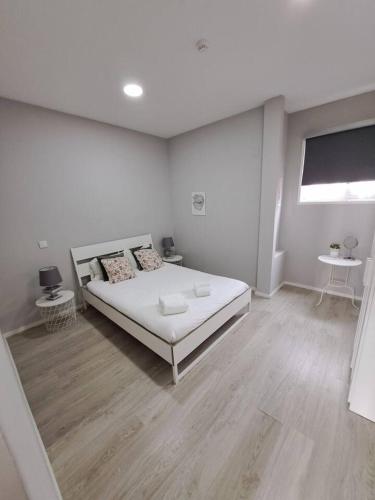 Bolhão Apartment