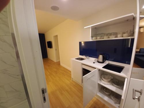 a small kitchen with a stove and a sink at Orbi City Superhost in Batumi