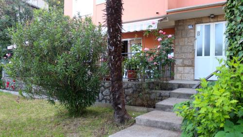Green Garden Apartment