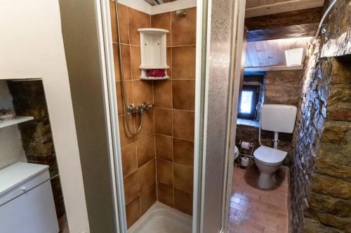 a small bathroom with a toilet and a shower at Casale Viozzi - Casa Vacanze con piscina nelle Marche in Montefalcone Appennino