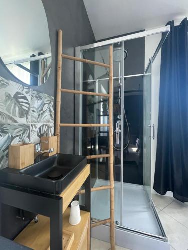 y baño con lavabo y ducha acristalada. en Chez Aurélie & Sacha, en Pruillé-lʼÉguillé