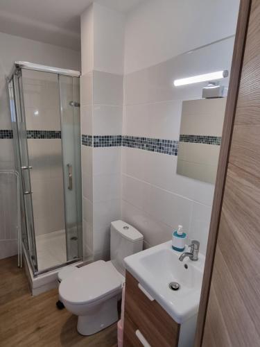 une salle de bain avec toilettes, douche et lavabo dans l'établissement MUTUM - Studios 2 personnes ou duplex 5 personnes , idéalement placés à 100m de la plage, à Dieppe