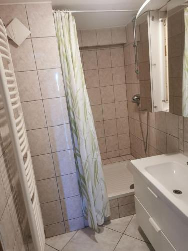 La salle de bains est pourvue d'une douche et d'un lavabo. dans l'établissement Chez Raphaël, à Marckolsheim