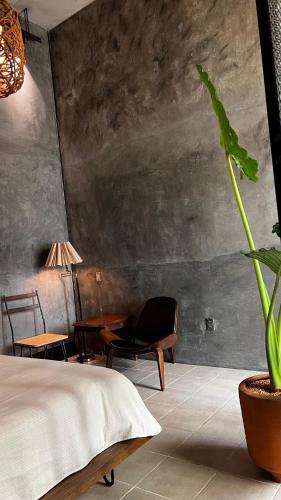 um quarto com uma cama, uma cadeira e uma planta em CASA PATO em Oaxaca de Juárez